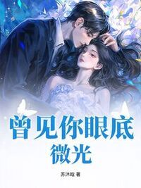 曾见你眼底微光在线阅读