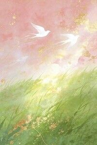 花信丢了归期在线阅读