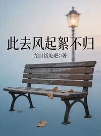 此去风起絮不归在线阅读