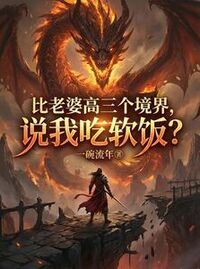 比老婆高三个境界，说我吃软饭？在线阅读