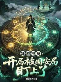 神游密码：开局被国安局盯上了在线阅读