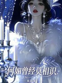 何如曾经莫相识在线阅读