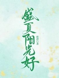 盛夏阳光好在线阅读