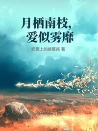 月栖南枝，爱似雾靡在线阅读