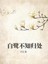白鹭不知归处在线阅读