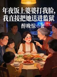 年夜饭上婆婆打我脸，我直接把她送进监狱在线阅读