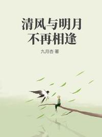 清风与明月不再相逢在线阅读