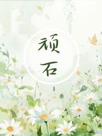 顽石在线阅读