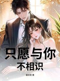 只愿与你不相识在线阅读