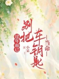 过年而已，别把车钥匙当命在线阅读