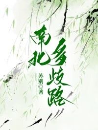 南北多歧路在线阅读