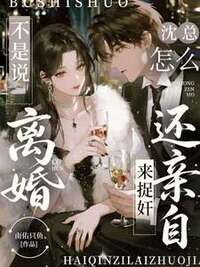 不是说离婚，沈总怎么还亲自来捉奸在线阅读