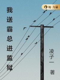 我送霸总进监狱在线阅读