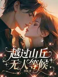 越过山丘，无人等候在线阅读