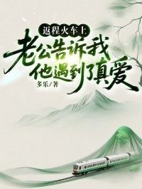 返程火车上，老公告诉我他遇到了真爱在线阅读
