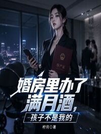 婚房里办了满月酒，孩子不是我的在线阅读
