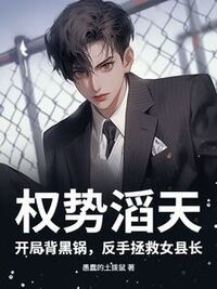 权势滔天：开局背黑锅，反手拯救女县长在线阅读