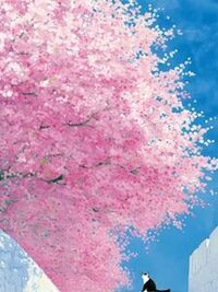 我给停车位装地锁，邻居半夜砸门骂我在线阅读