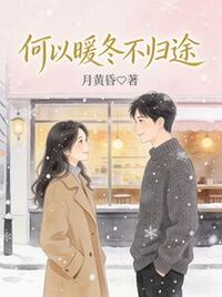何以暖冬不归途在线阅读