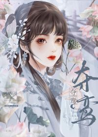 夺鸾在线阅读