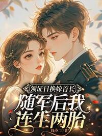 领证日换嫁首长，随军后我连生两胎在线阅读