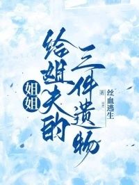 姐姐给姐夫的三件遗物在线阅读