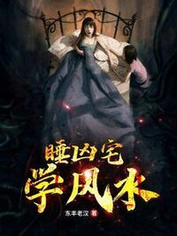 睡凶宅学风水在线阅读