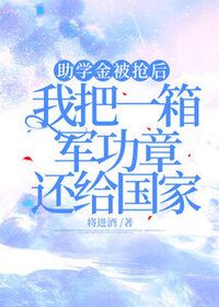 助学金被抢后，我把一箱军功章还给国家在线阅读