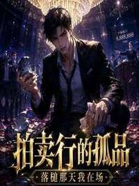 拍卖行的孤品，落槌那天我在场在线阅读