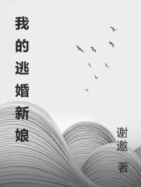 我的逃婚新娘在线阅读
