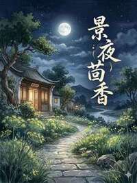景夜茴香在线阅读
