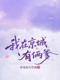 我在京城有俩爹在线阅读