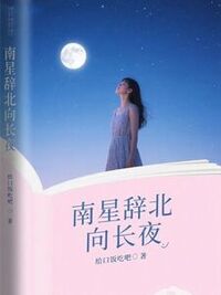 南星辞北向长夜在线阅读