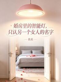 婚房里的智能灯，只认另一个女人的名字在线阅读