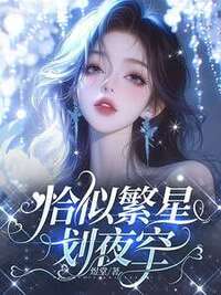 恰似繁星划夜空在线阅读