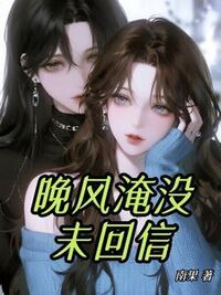 晚风淹没未回信在线阅读