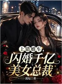 上错婚车，闪婚千亿美女总裁在线阅读