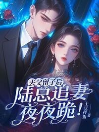 去父留子后，陆总追妻夜夜跪！在线阅读