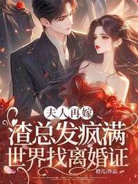 夫人再嫁，渣总发疯满世界找离婚证在线阅读