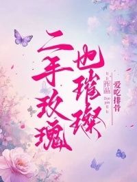 二手玫瑰也璀璨在线阅读
