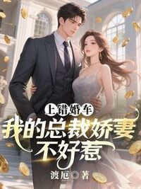 上错婚车：我的总裁娇妻不好惹在线阅读