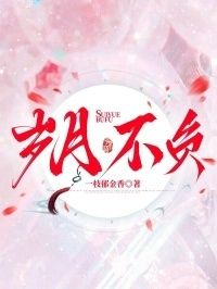 岁月不负在线阅读