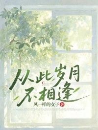 从此岁月不相逢在线阅读