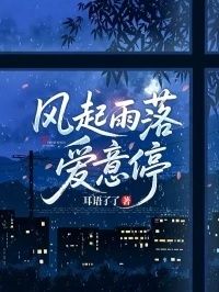 风起雨落爱意停在线阅读