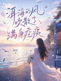 洱海的风吹散了满身疮痍在线阅读