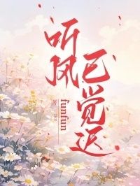 听风已觉迟在线阅读