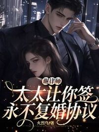 谢律师，太太让你签永不复婚协议在线阅读