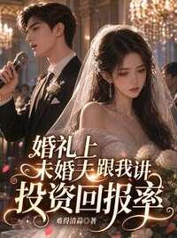 婚礼上未婚夫跟我讲投资回报率在线阅读