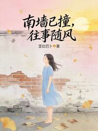 南墙已撞，往事随风在线阅读