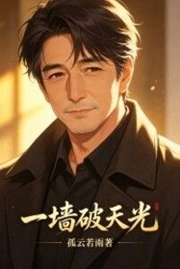 一墙破天光在线阅读